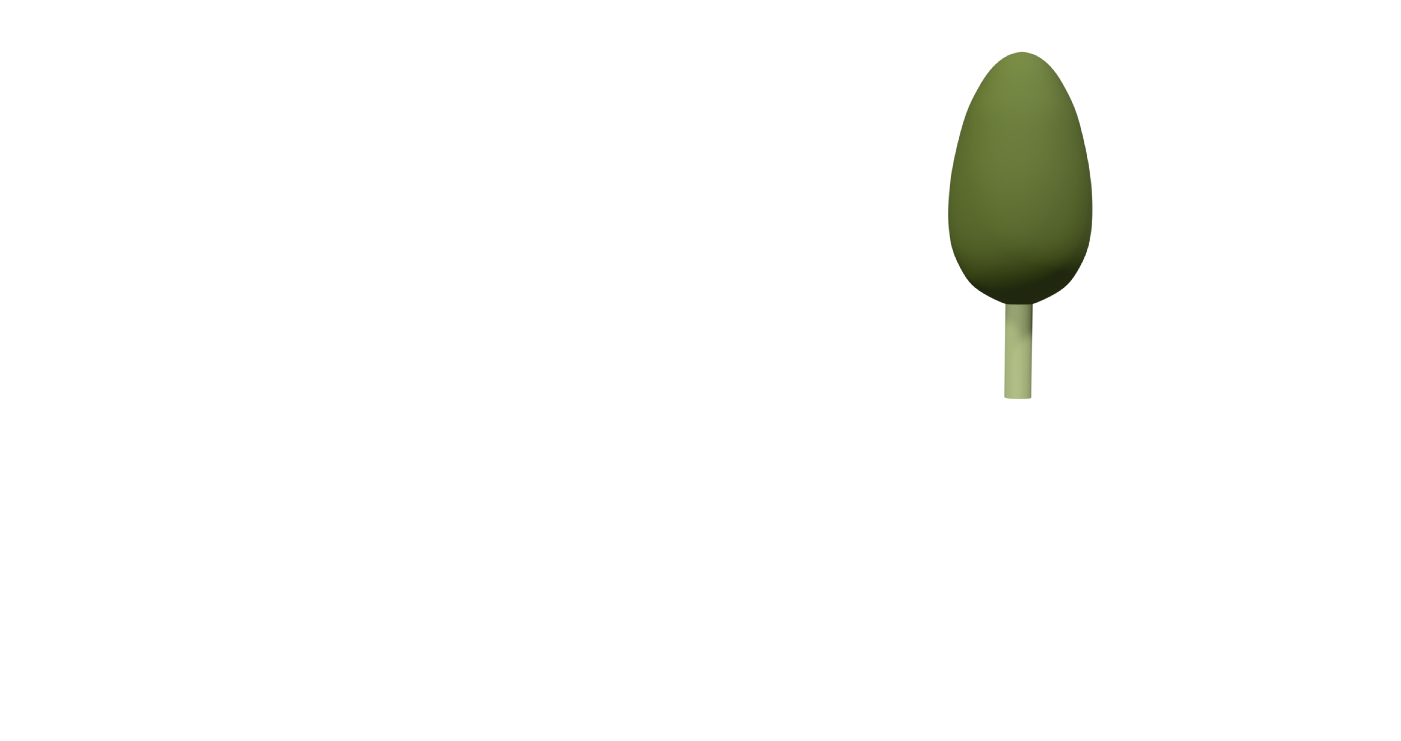 Baum
